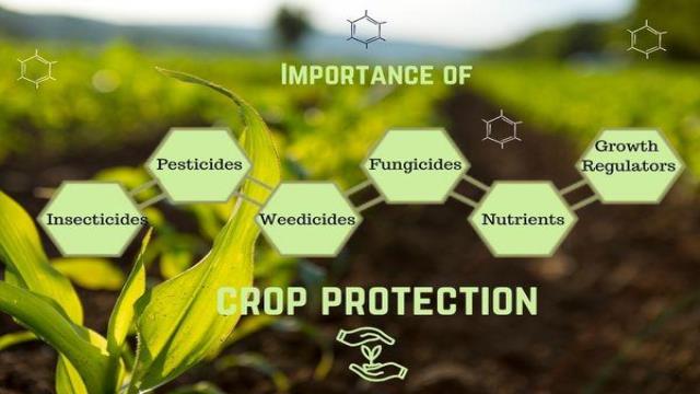 Understanding Agrochemicals: 4 Key Segments Every Farmer Should Know