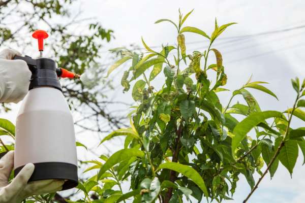  Agri Green Crop Science PVT Ltd 